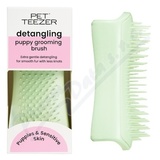 Pet Teezer detangling puppy grooming brush mint